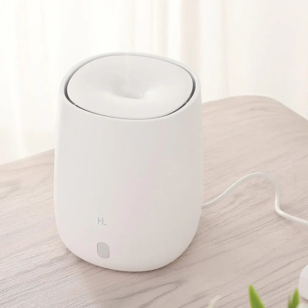 Mini USB Aromatherapy Diffuser & Humidifier