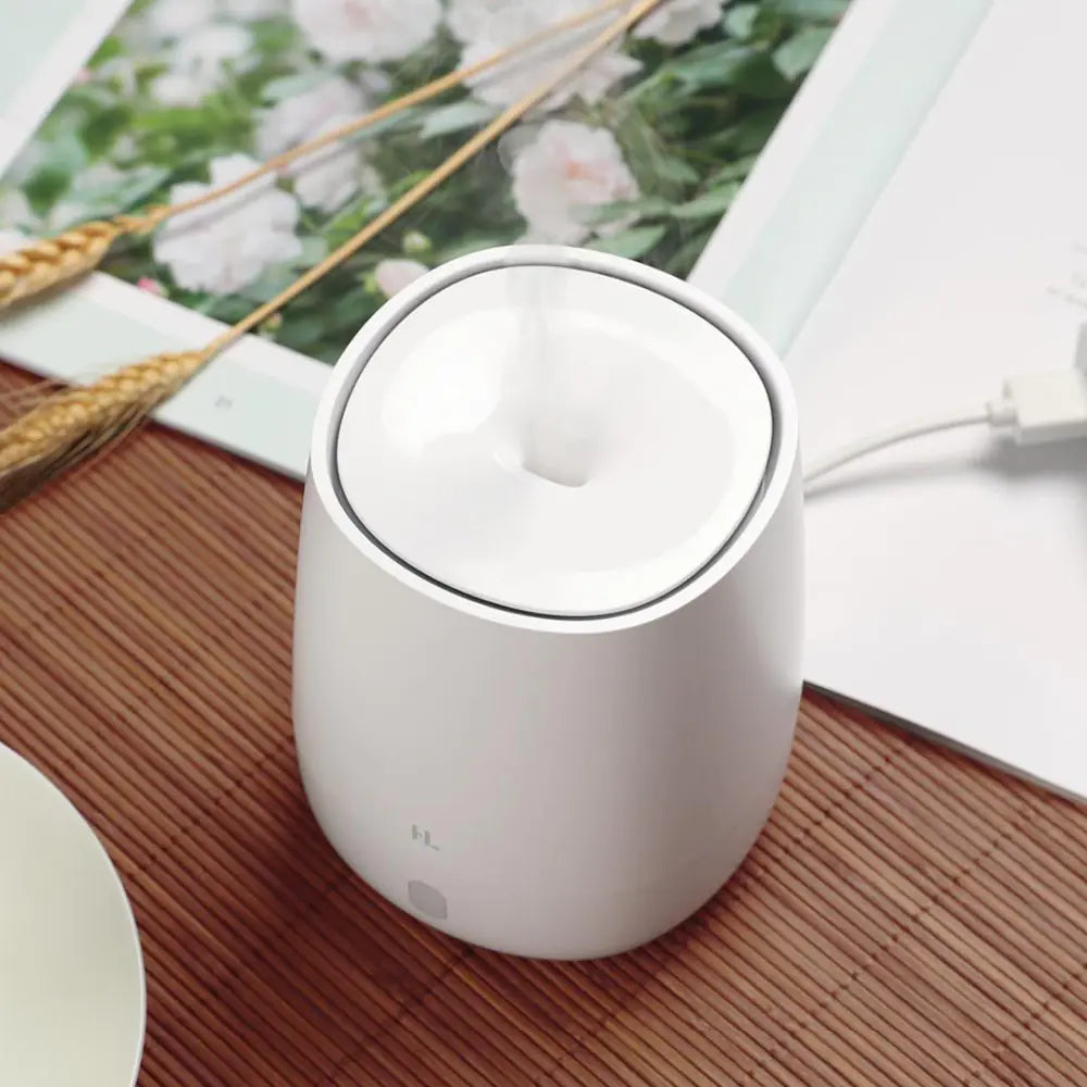 Mini USB Aromatherapy Diffuser & Humidifier