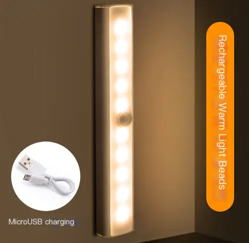 LED Motion Sensor Light Linny (One Unit)